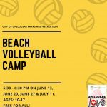 Beach Volleyball Camp